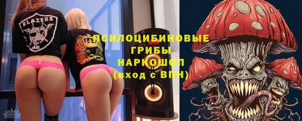 apvp Горно-Алтайск