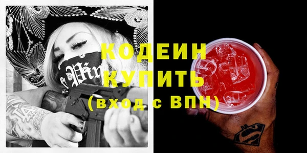 дмт Горнозаводск