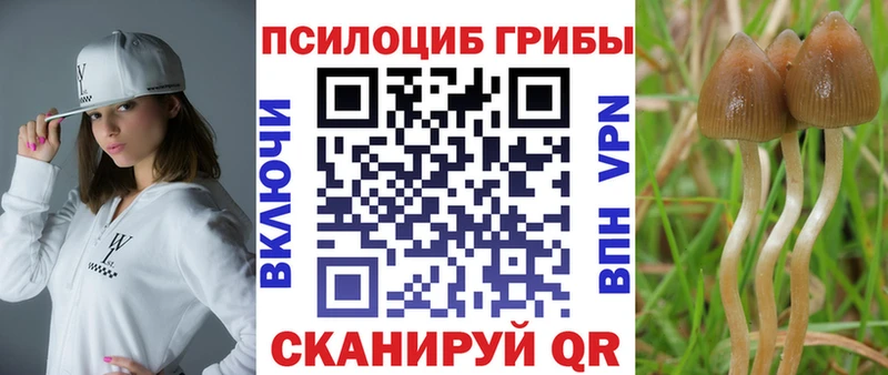 Псилоцибиновые грибы GOLDEN TEACHER  Купить закладки  Нестеров 